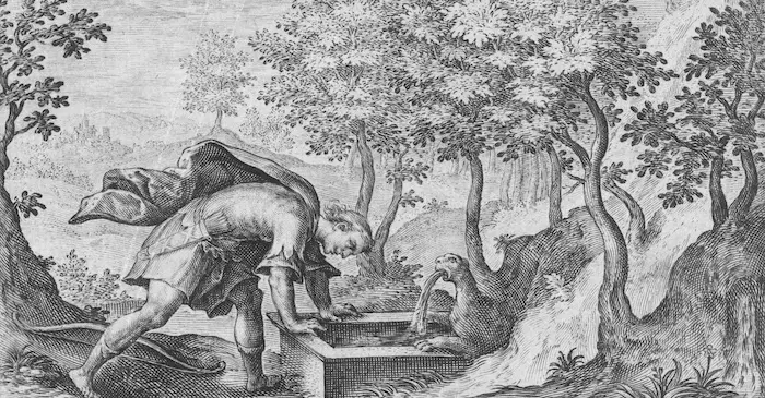 Narcissus ziet zichzelf en wordt verliefd