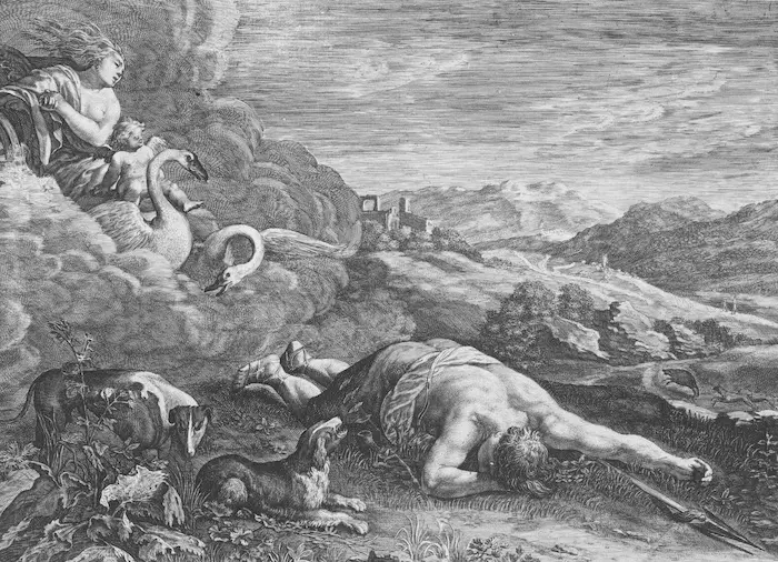 Orpheus zingt: De dood van Adonis